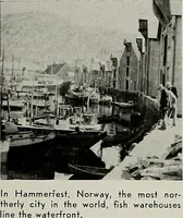 Picture 170 of 406 from Architect and engineer (1905), leaf 194