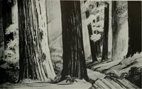 Picture 352 of 406 from Architect and engineer (1905), leaf 408