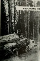Picture 354 of 406 from Architect and engineer (1905), leaf 410