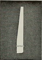 An illustration from Architect and engineer (1905)