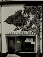 An illustration from Architect and engineer (1905)