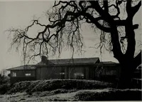 An illustration from Architect and engineer (1905)