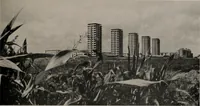 An illustration from Architect and engineer (1905)