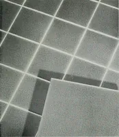 Picture 25 of 464 from Architect and engineer (1905), leaf 22