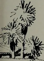 An illustration from Architect and engineer (1905)
