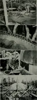 Picture 223 of 334 from Architect and engineer (1905), leaf 263