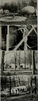 Picture 224 of 334 from Architect and engineer (1905), leaf 264