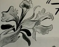 Picture 67 of 286 from Architect and engineer (1905), leaf 70
