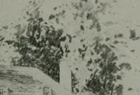 An illustration from Architect and engineer (1905)