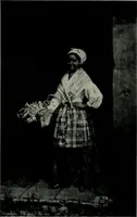 Picture 100 of 377 from Architect and engineer (1905), leaf 111