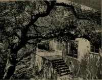 Picture 176 of 377 from Architect and engineer (1905), leaf 186