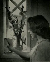 Picture 38 of 377 from Architect and engineer (1905), leaf 34
