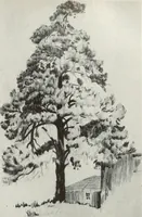 An illustration from Architect and engineer (1905)