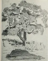 An illustration from Architect and engineer (1905)