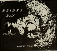 Picture 349 of 481 from Architect and engineer (1905), leaf 420