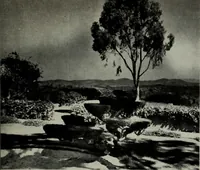 An illustration from Architect and engineer (1905)