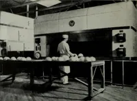 Picture 324 of 537 from Architect and engineer (1905), leaf 349