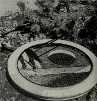 Picture 519 of 537 from Architect and engineer (1905), leaf 547