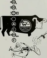 Picture 33 of 401 from Architect and engineer (1905), leaf 38