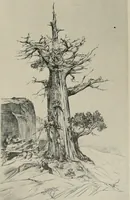 An illustration from Architect and engineer (1905)