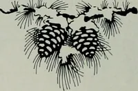 An illustration from Architect and engineer (1905)