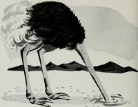 An illustration from Architect and engineer (1905)