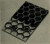 An illustration from Architect and engineer (1905)