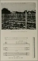 Picture 160 of 277 from The Architect & engineer of California and the Pacific Coast (1905), leaf 259