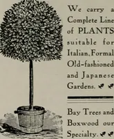 Picture 196 of 277 from The Architect & engineer of California and the Pacific Coast (1905), leaf 355