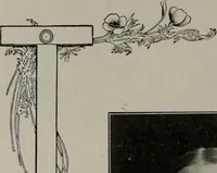 Picture 200 of 277 from The Architect & engineer of California and the Pacific Coast (1905), leaf 367