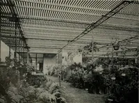 An illustration from Architect and engineer (1905)