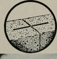 An illustration from Architect and engineer (1905)