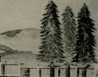 An illustration from Architect and engineer (1905)