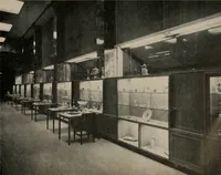 An illustration from Architect and engineer (1905)