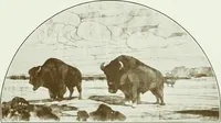 An illustration from The Architect & engineer of California and the Pacific Coast (1905)
