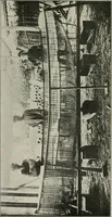 An illustration from The Architect & engineer of California and the Pacific Coast (1905)