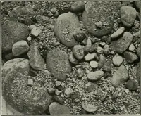 An illustration from The Architect & engineer of California and the Pacific Coast (1905)