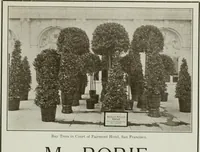 Picture 212 of 298 from The Architect & engineer of California and the Pacific Coast (1905), leaf 316