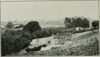 Picture 243 of 298 from The Architect & engineer of California and the Pacific Coast (1905), leaf 365