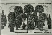 Picture 244 of 298 from The Architect & engineer of California and the Pacific Coast (1905), leaf 365