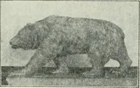 An illustration from The Architect & engineer of California and the Pacific Coast (1905)