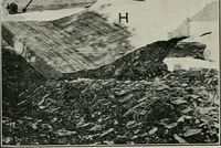 An illustration from The Architect & engineer of California and the Pacific Coast (1905)