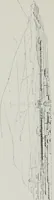 An illustration from The Architect & engineer of California and the Pacific Coast (1905)