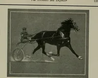 An illustration from The Architect & engineer of California and the Pacific Coast (1905)