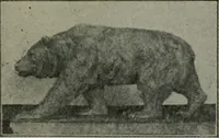 An illustration from The Architect & engineer of California and the Pacific Coast (1905)