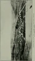 An illustration from The Architect & engineer of California and the Pacific Coast (1905)