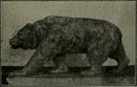 An illustration from The Architect & engineer of California and the Pacific Coast (1905)