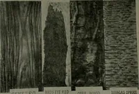 Picture 154 of 349 from The Architect & engineer of California and the Pacific Coast (1905), leaf 203