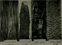 An illustration from The Architect & engineer of California and the Pacific Coast (1905)