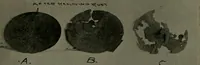 Picture 24 of 349 from The Architect & engineer of California and the Pacific Coast (1905), leaf 38